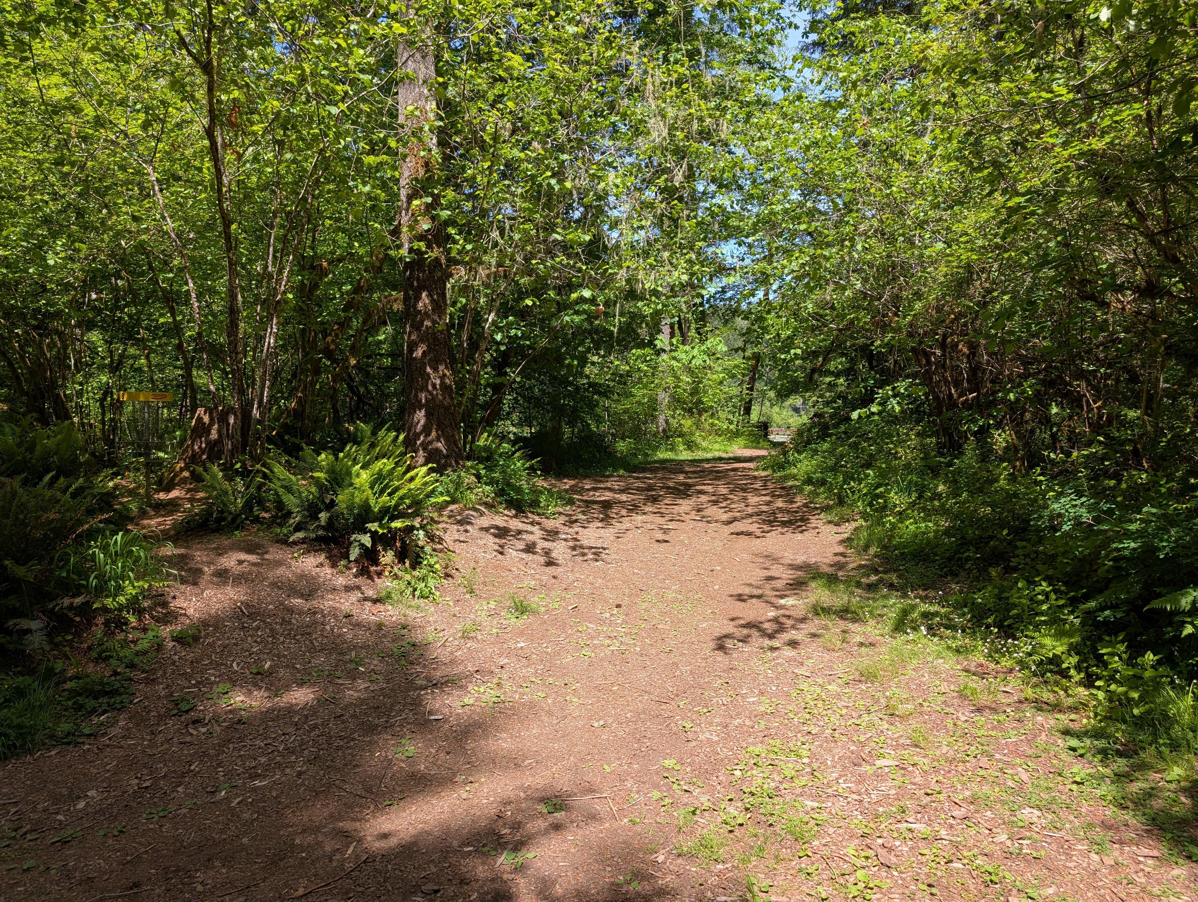 Hole 8