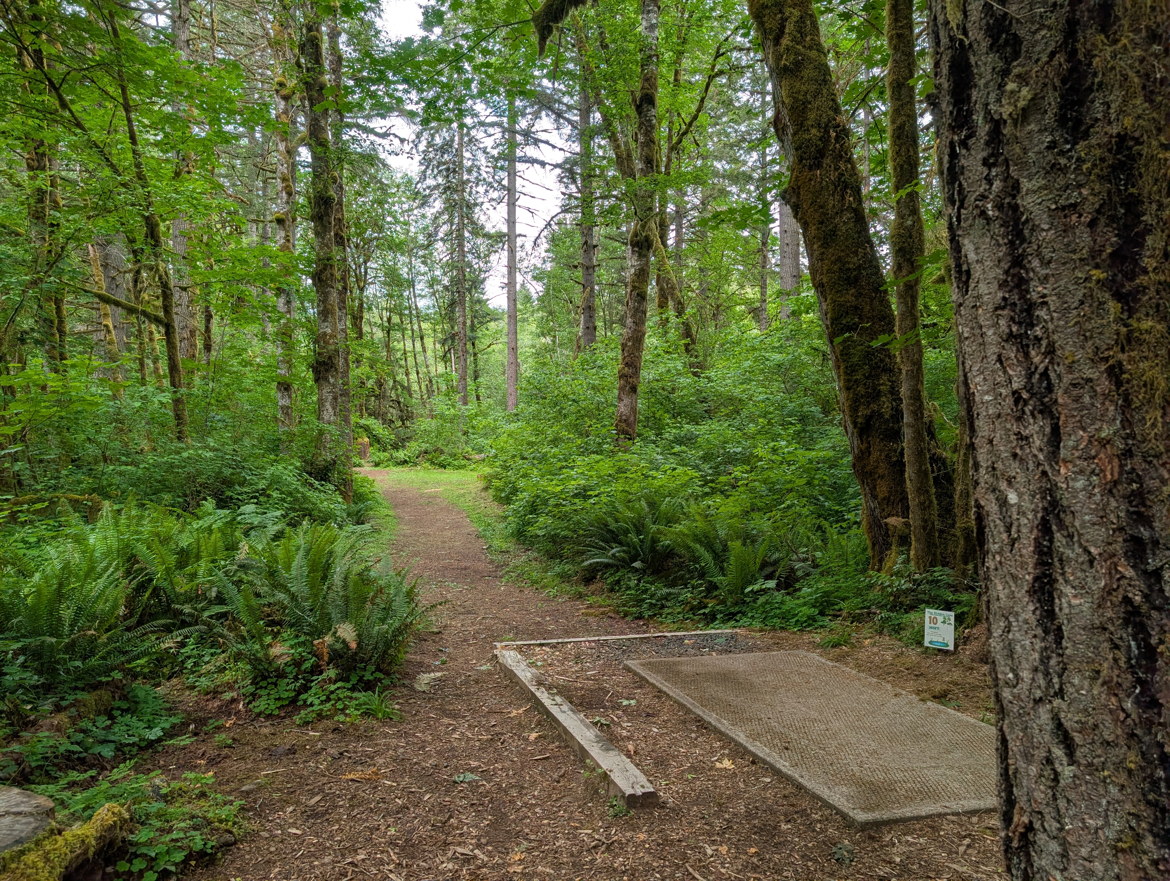 Hole 10
