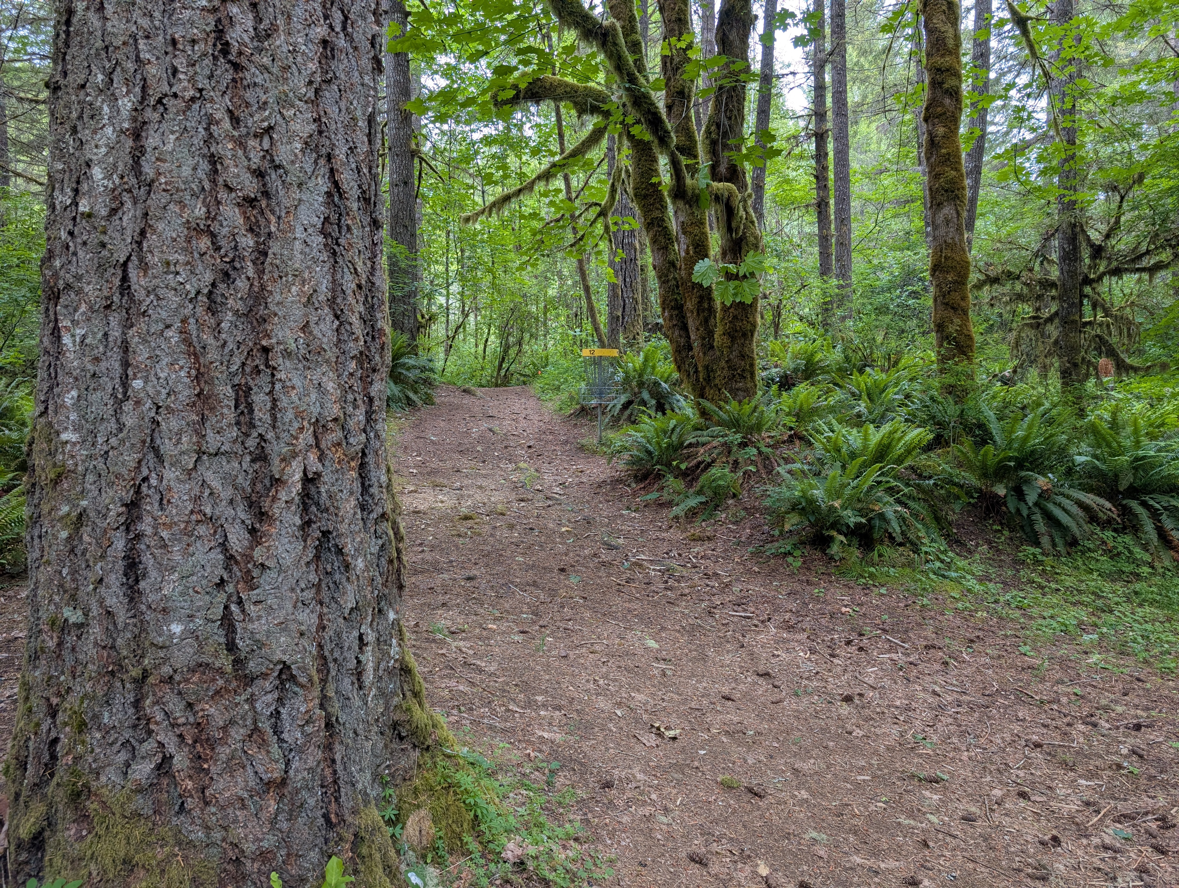 Hole 12