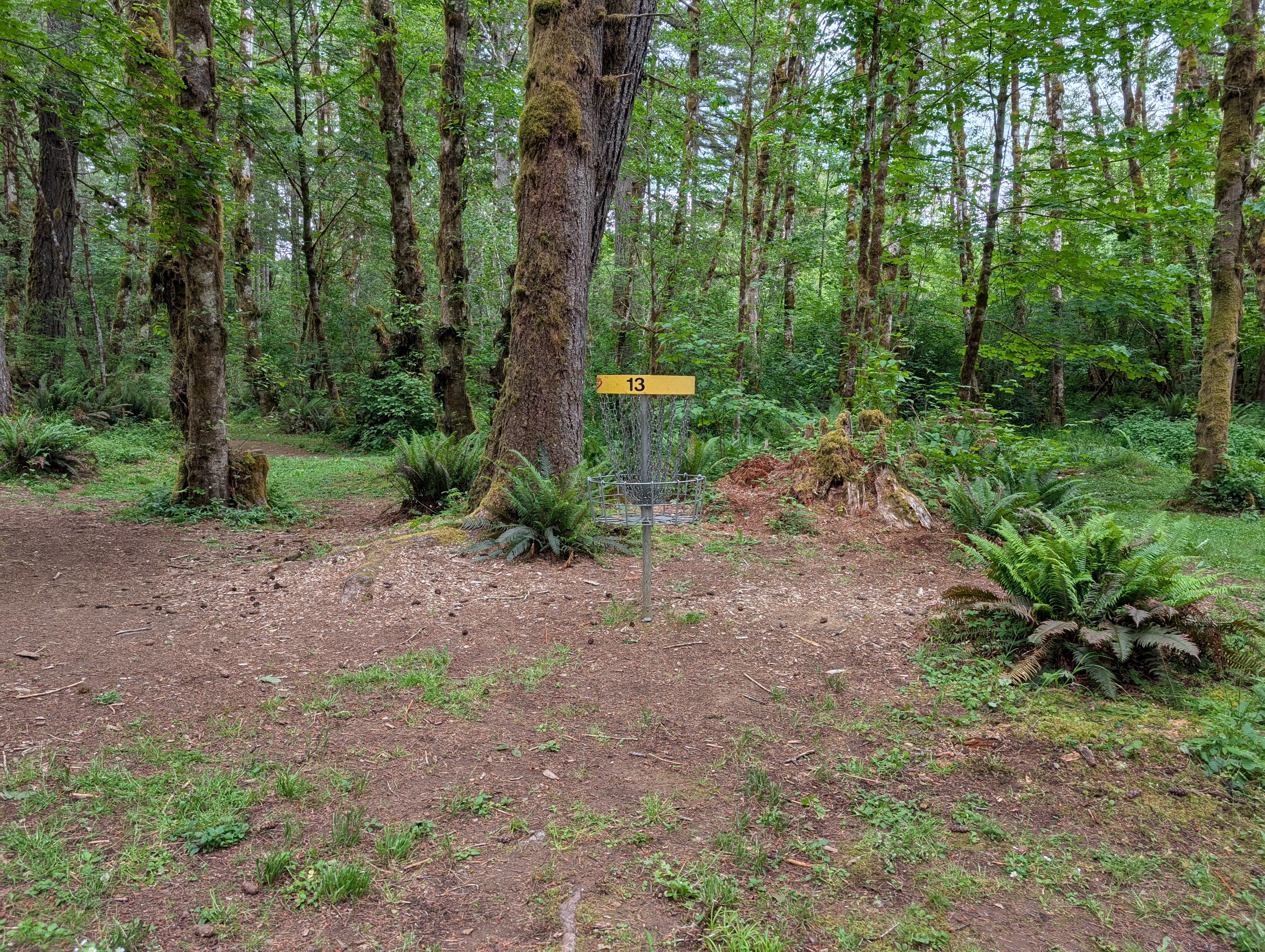Hole 13