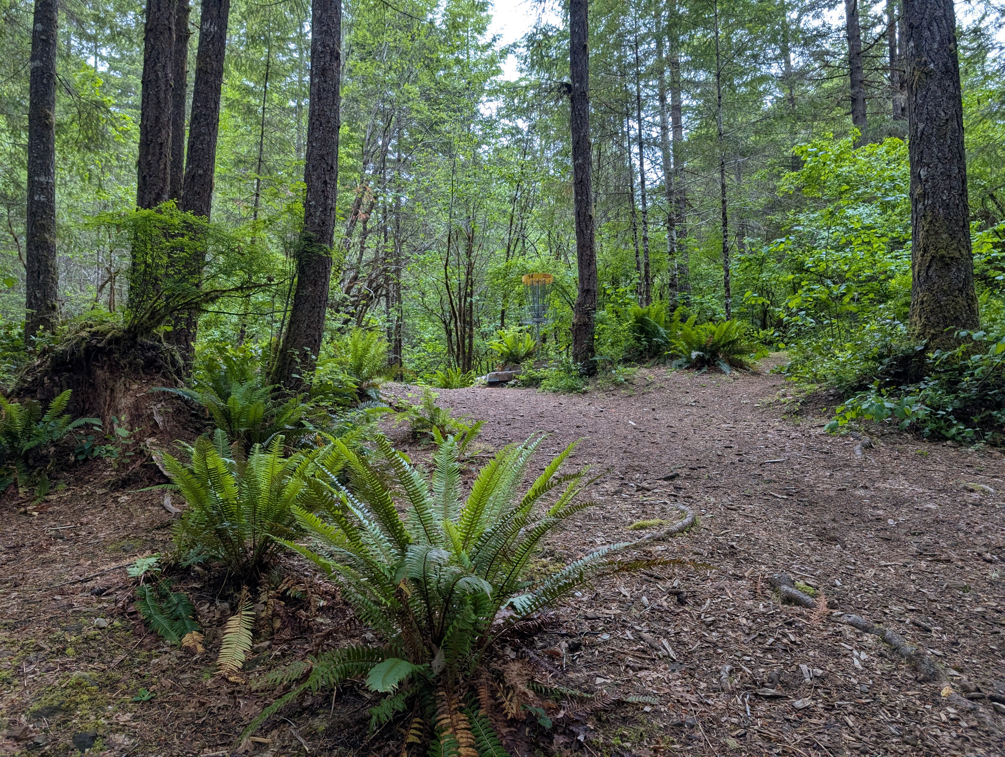 Hole 14